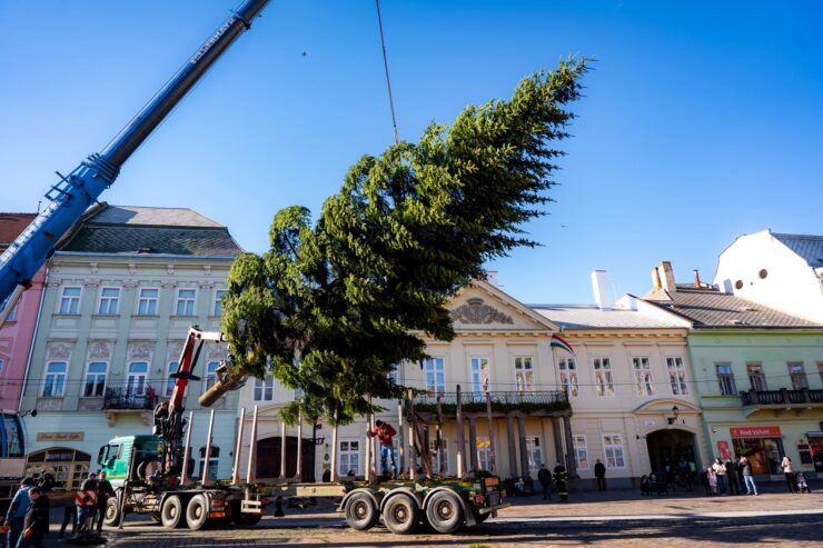 umiestnovanie_vianocneho_stromu