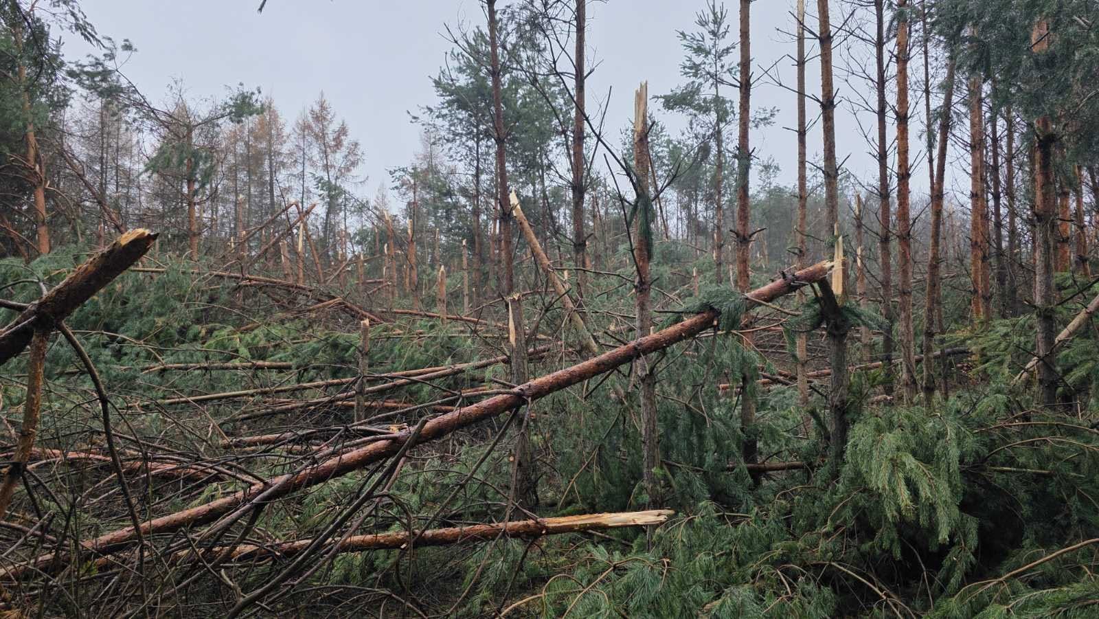 Pozor, niektoré úseky v Ťahanovskom lese sú nepriechodné