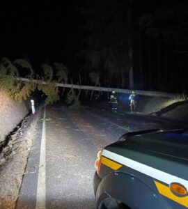 víchrica zdroj: DHZ Medveďov