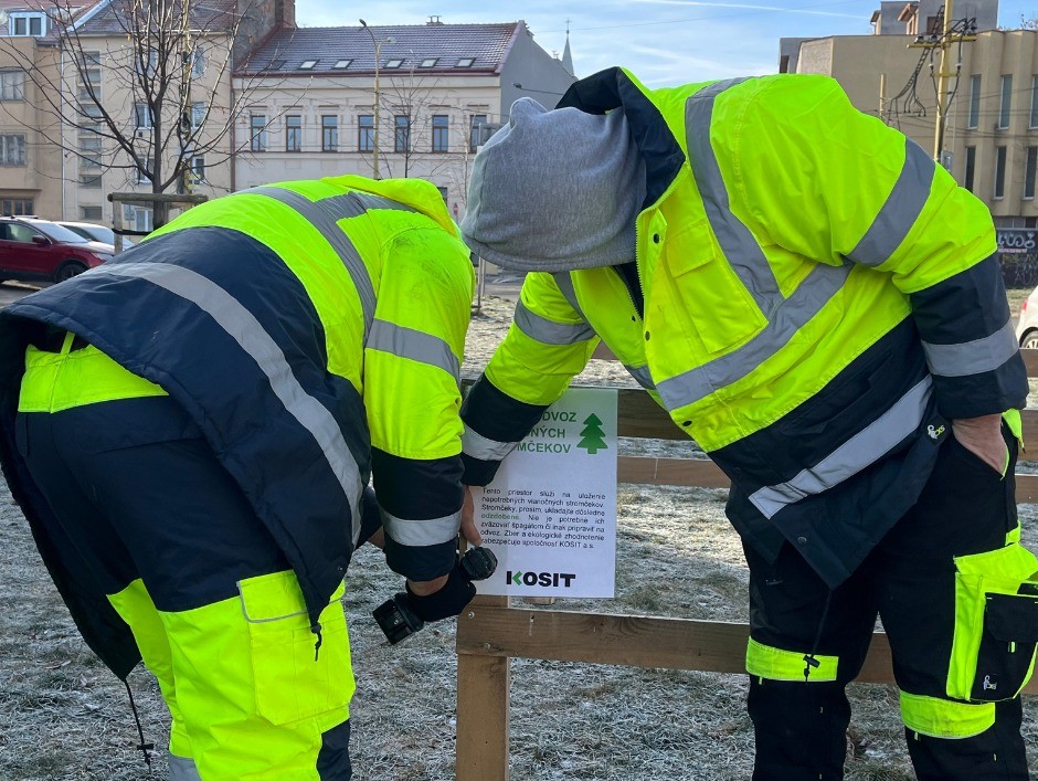 Dnes sa v Košiciach začal zber vianočných stromčekov