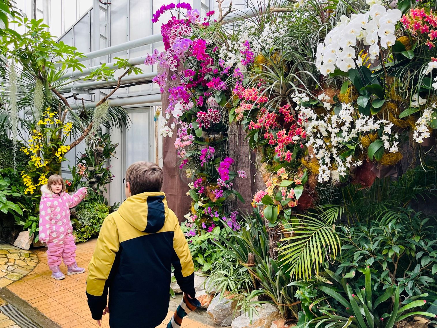 Takúto nádheru nájdete od dnešného dňa v Botanickej záhrade. Pozrite si fotogalériu vystavených orchideí