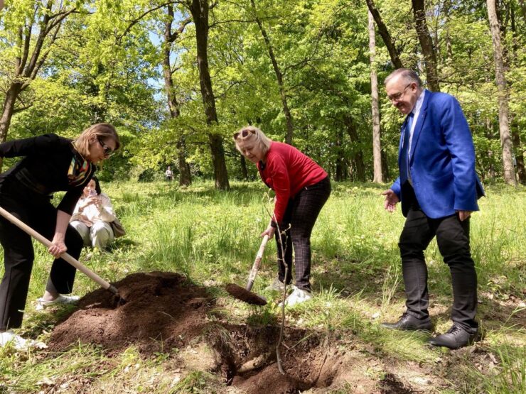 Živena sadila v Košiciach lipu. Foto: L. R.