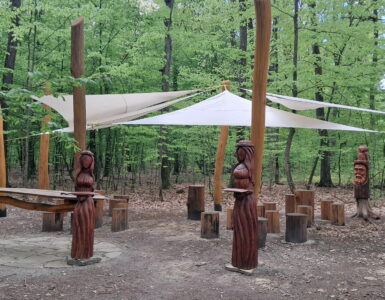 Kaviareň u lesných víl