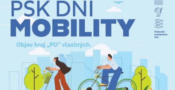 Dni mobility