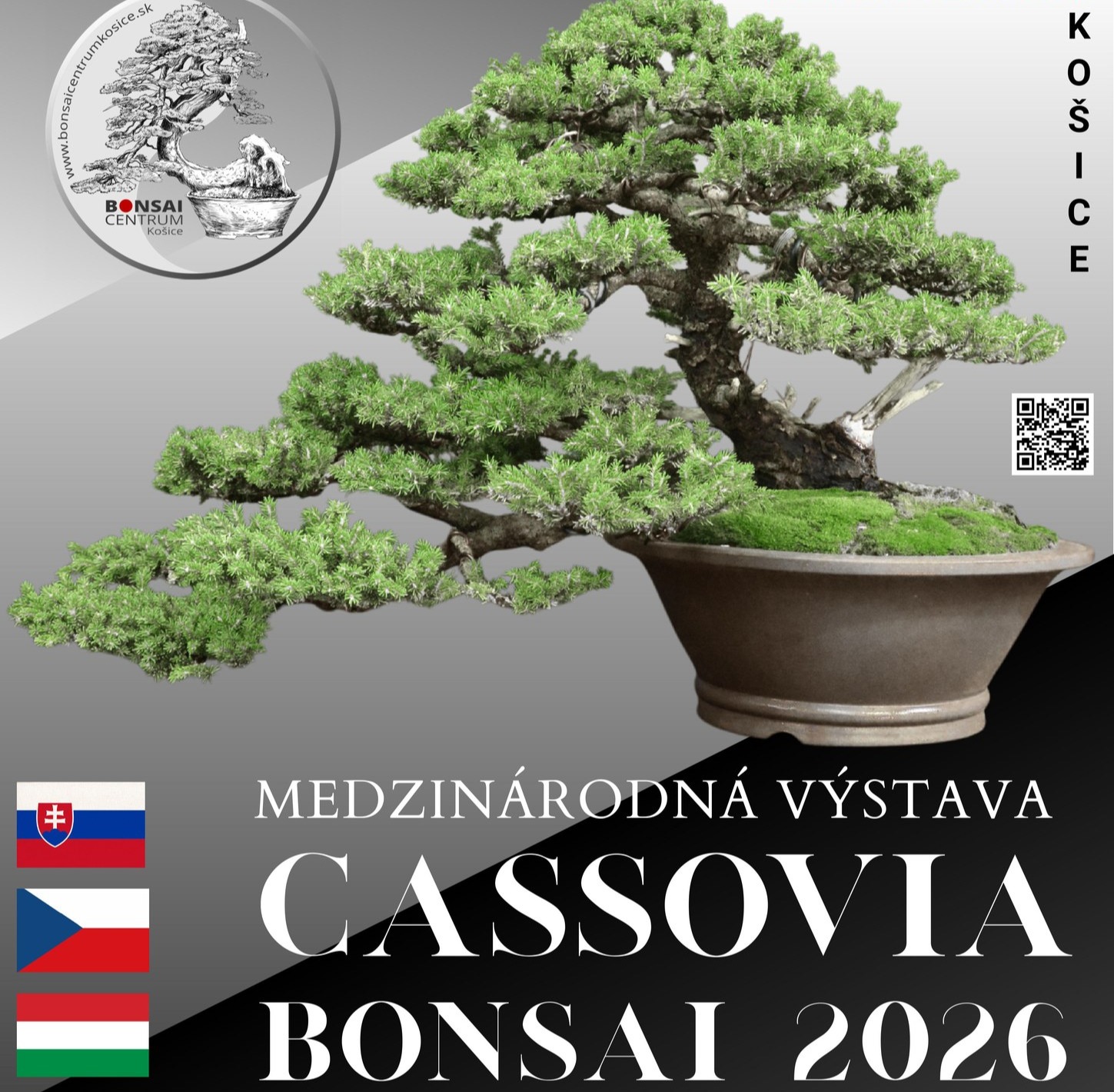 Štartuje Cassovia Bonsai 2026. Botanická záhrada sa premení na oázu japonského umenia a tradícií
