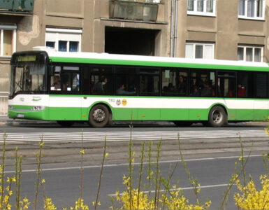 DPMK