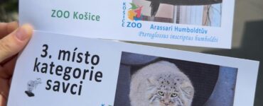 ZOO Košice