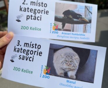 ZOO Košice