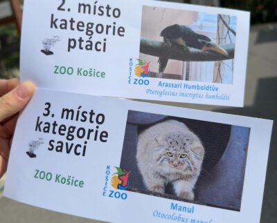 ZOO Košice