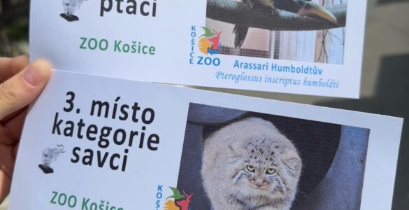 ZOO Košice
