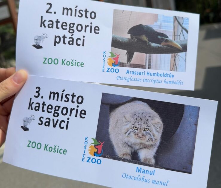 ZOO Košice