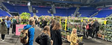 Festival rastlín 2026