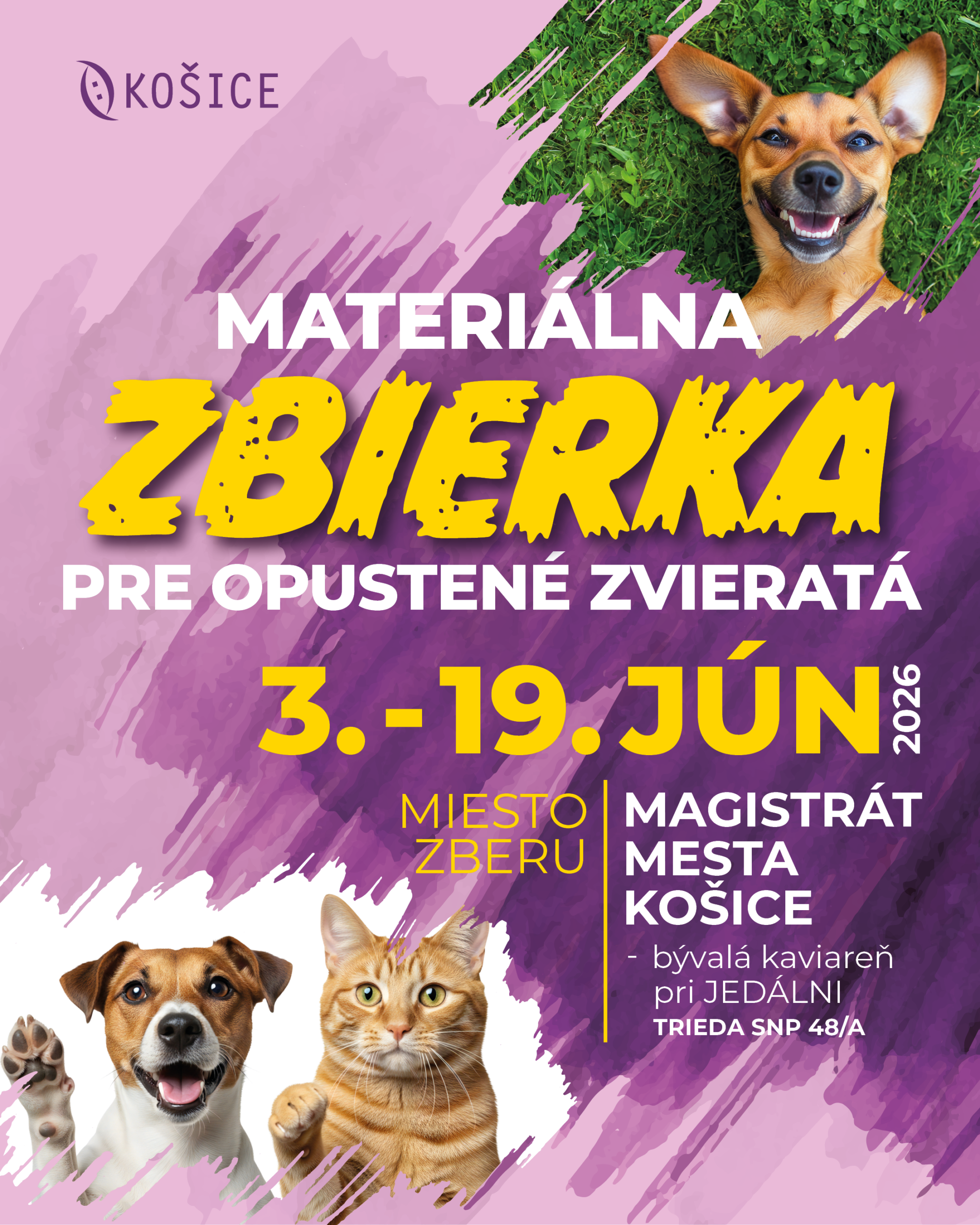 Košičania môžu pomôcť zvieratám, mesto spúšťa materiálnu zbierku pre útulky