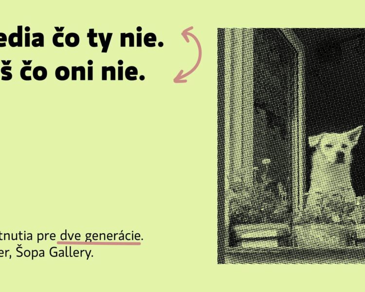 Dve generácie Šopa Gallery