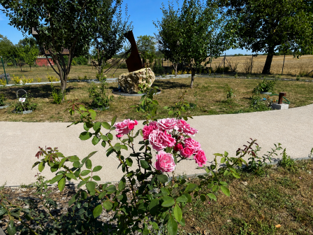 ruže