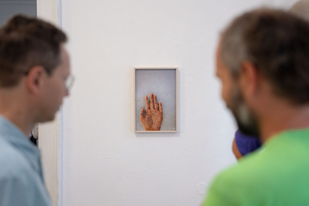 Common Reservoir - Lucia Sceranková, Tatiana Takáčová: Foto: Šopa Gallery
