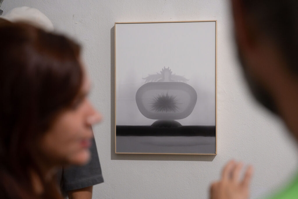 Common Reservoir - Lucia Sceranková, Tatiana Takáčová: Foto: Šopa Gallery