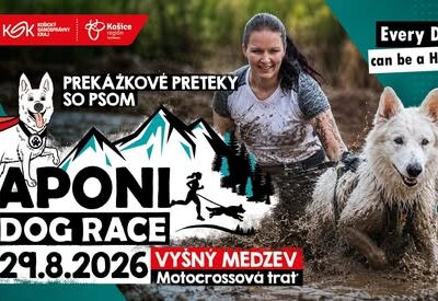 APONI Dog Race 2026