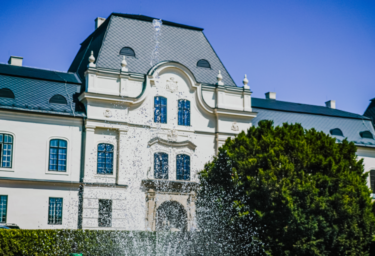 Vihorlatské múzeum