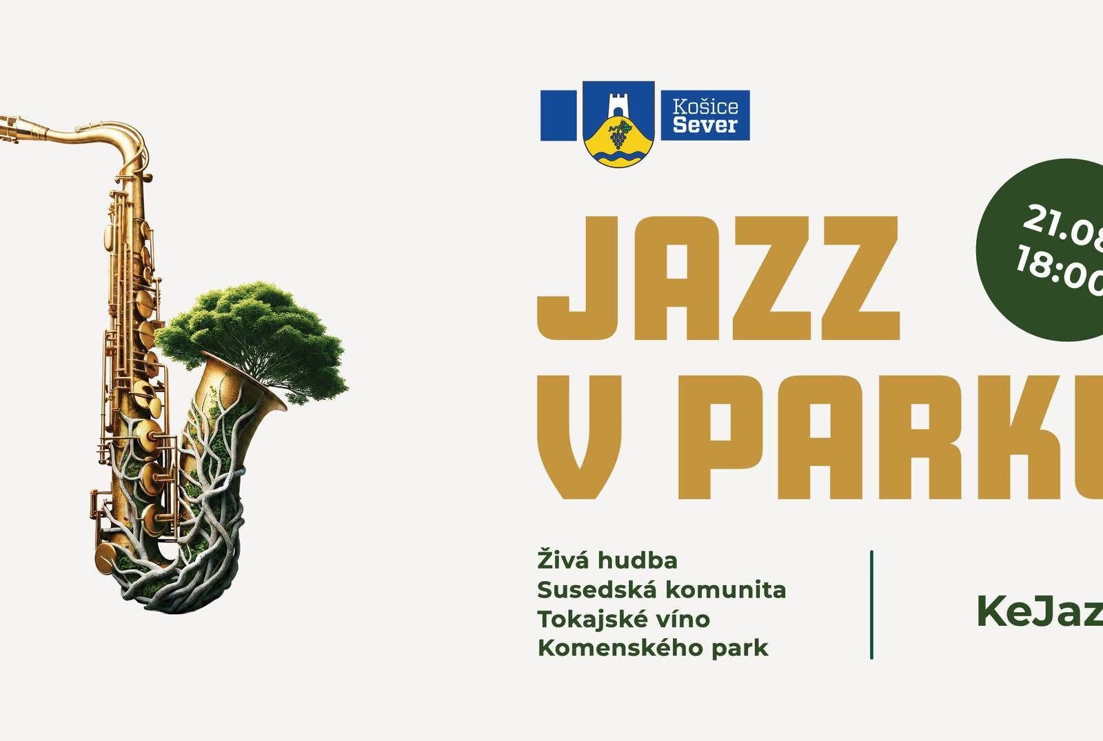 Jazz v parku. Zdroj: MČ Košice – Sever
