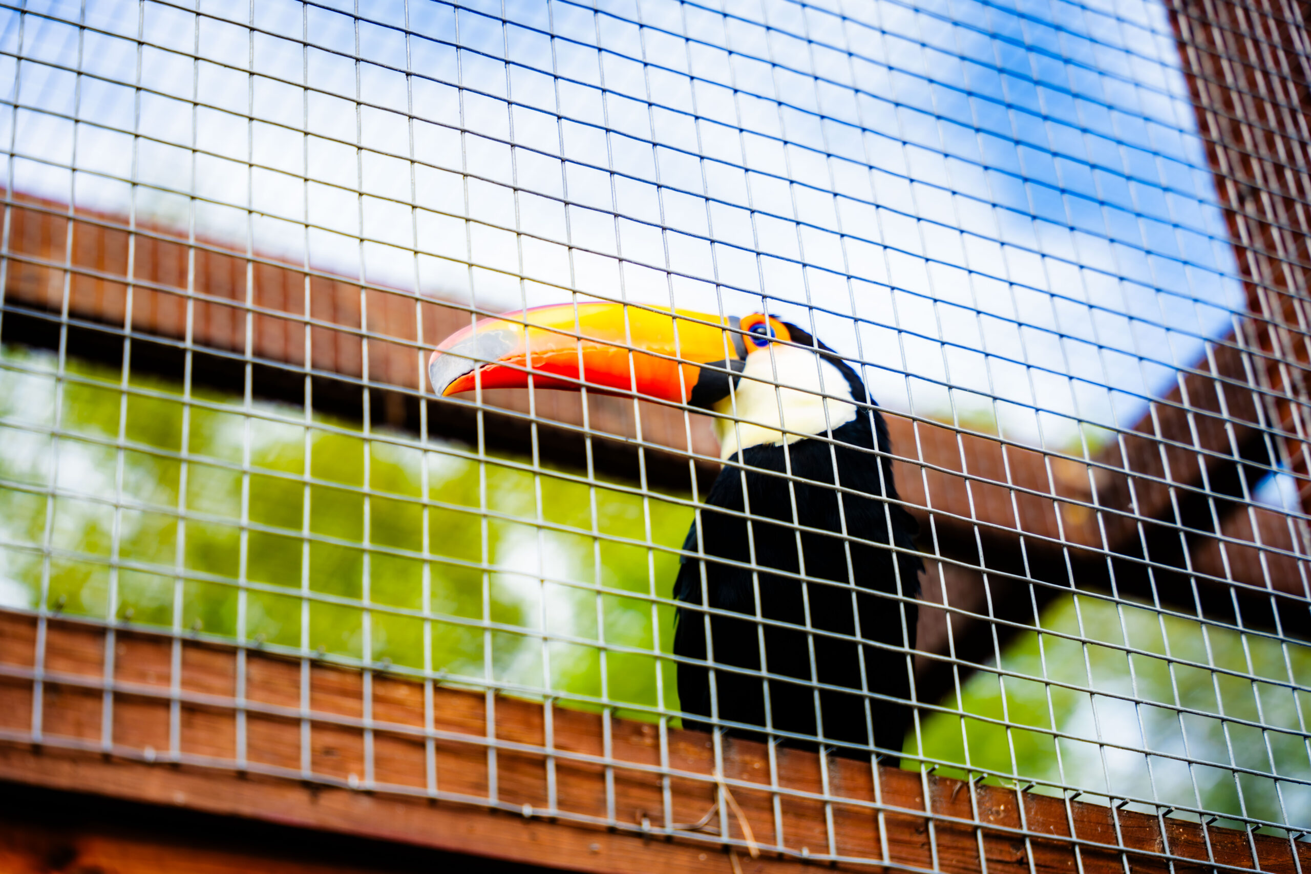 Košická ZOO zmodernizuje svoj vstupný areál