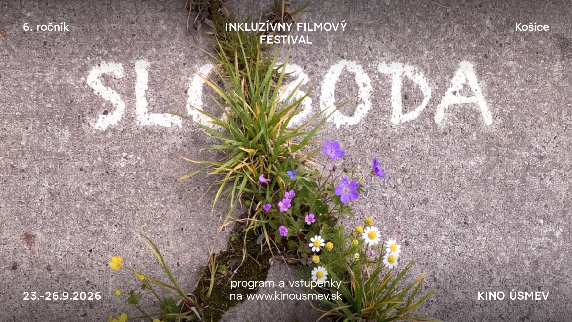 Videohry v kine, VR filmy a tituly z newyorského festivalu – aj o tomto bude Inkluzívny filmový festival Košice 2026