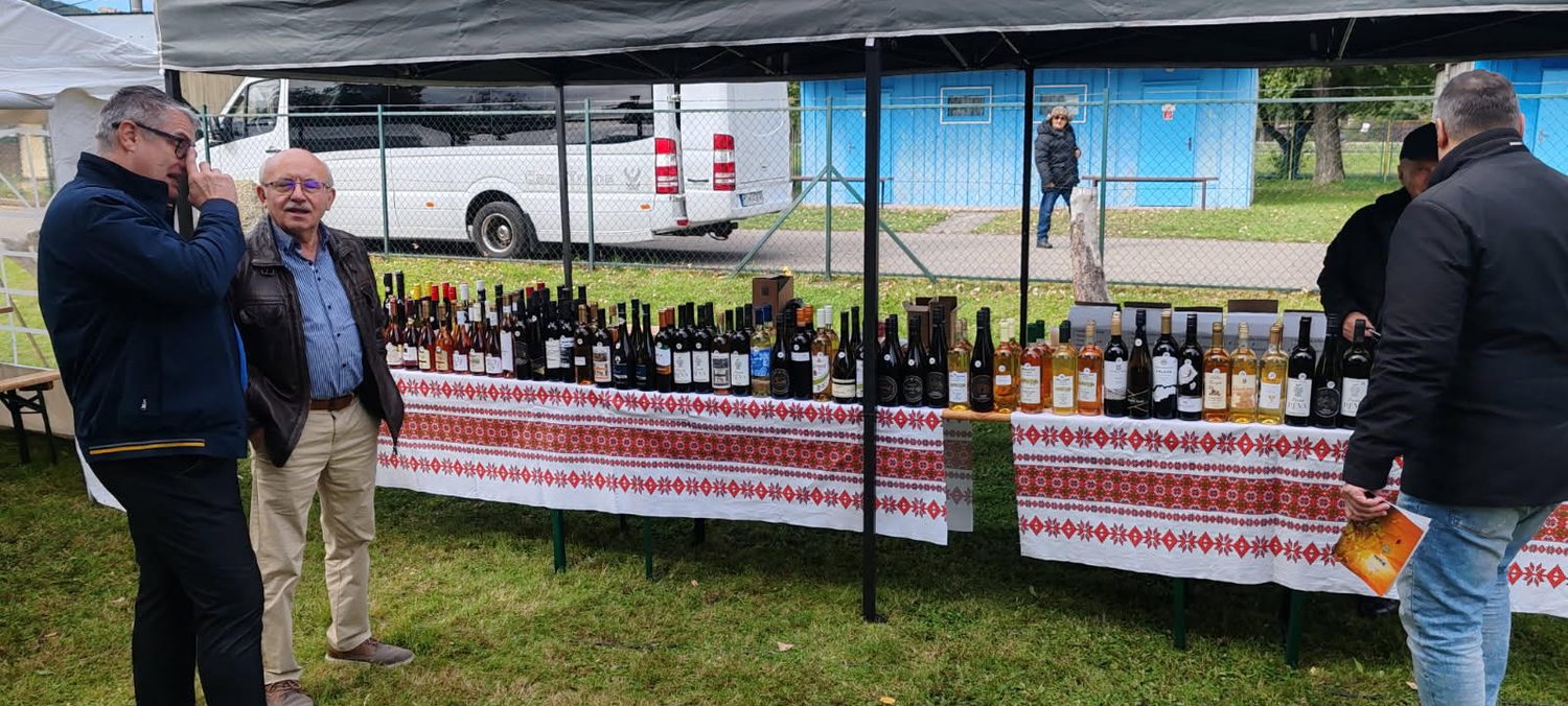 výstava vín - Zemplínske lakocinky