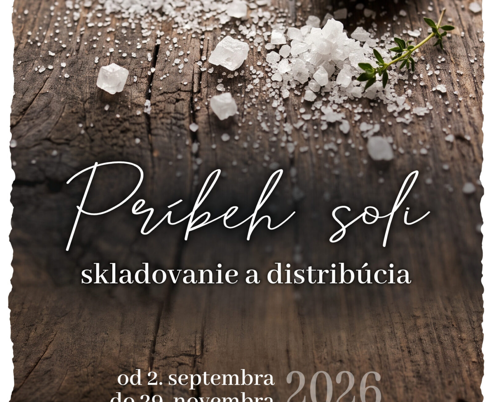 výstava Príbeh soli