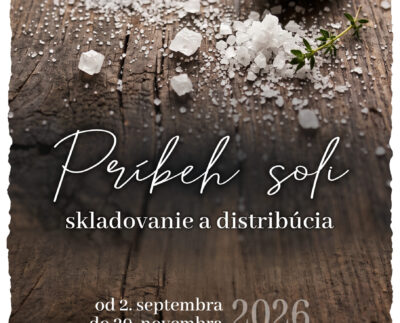 výstava Príbeh soli